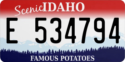 ID license plate E534794