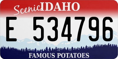 ID license plate E534796