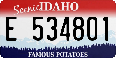 ID license plate E534801