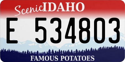 ID license plate E534803