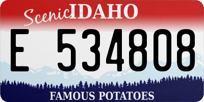 ID license plate E534808