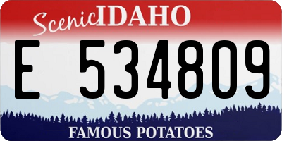 ID license plate E534809