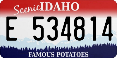 ID license plate E534814