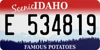 ID license plate E534819