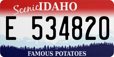 ID license plate E534820
