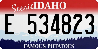 ID license plate E534823
