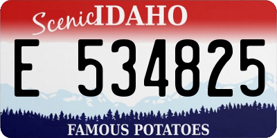 ID license plate E534825
