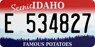 ID license plate E534827