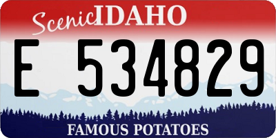 ID license plate E534829
