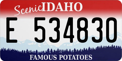 ID license plate E534830