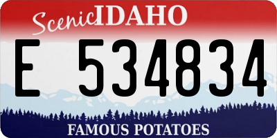 ID license plate E534834