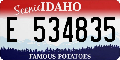 ID license plate E534835