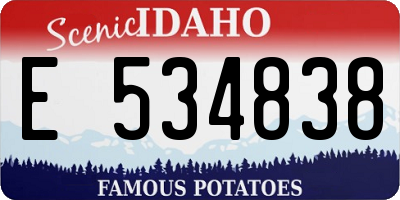 ID license plate E534838