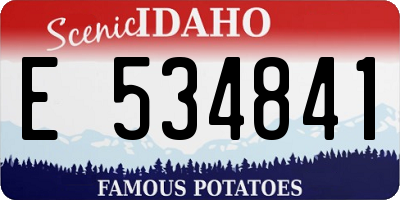 ID license plate E534841