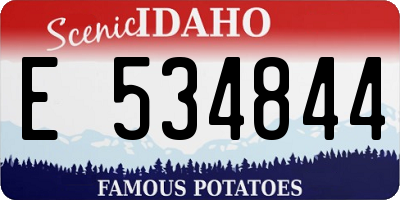 ID license plate E534844