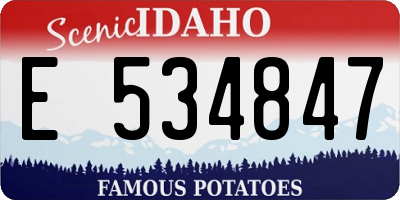 ID license plate E534847