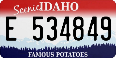 ID license plate E534849