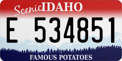 ID license plate E534851