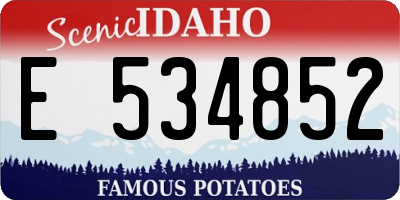 ID license plate E534852