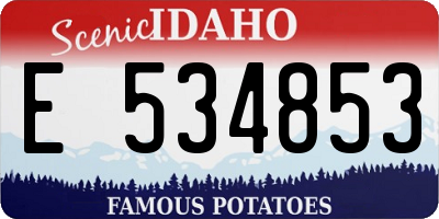ID license plate E534853