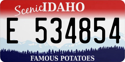 ID license plate E534854