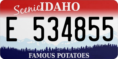 ID license plate E534855