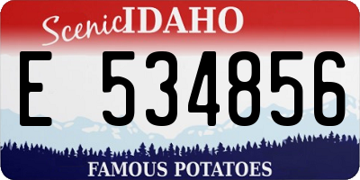 ID license plate E534856