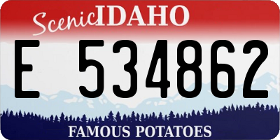 ID license plate E534862