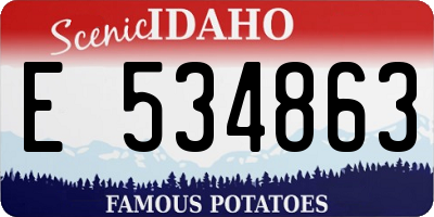ID license plate E534863