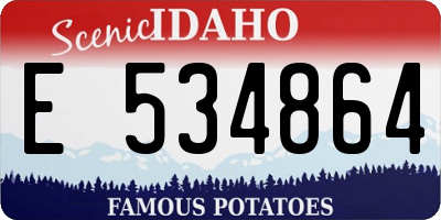 ID license plate E534864