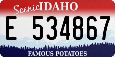 ID license plate E534867