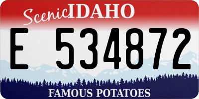 ID license plate E534872