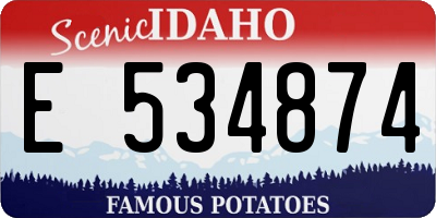 ID license plate E534874