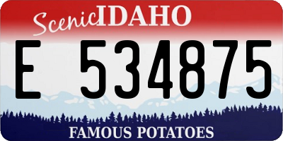 ID license plate E534875