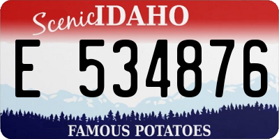 ID license plate E534876
