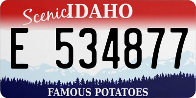 ID license plate E534877