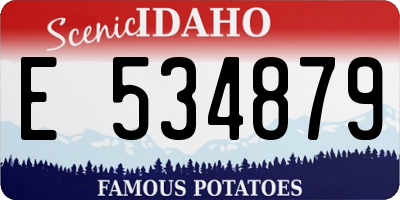 ID license plate E534879