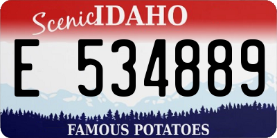 ID license plate E534889