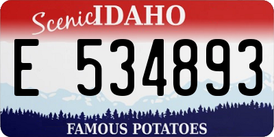 ID license plate E534893