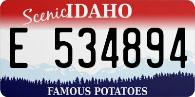 ID license plate E534894