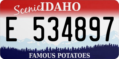 ID license plate E534897