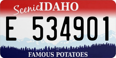 ID license plate E534901