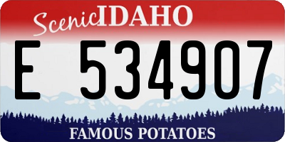 ID license plate E534907
