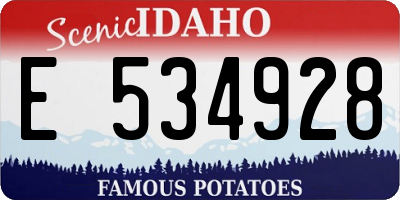 ID license plate E534928