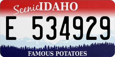 ID license plate E534929