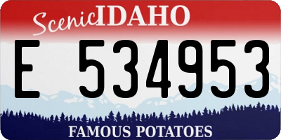 ID license plate E534953