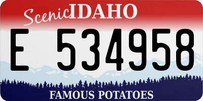 ID license plate E534958