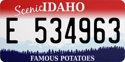 ID license plate E534963