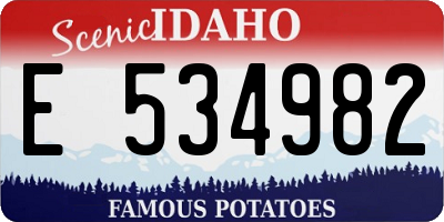 ID license plate E534982