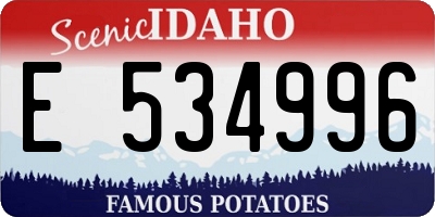 ID license plate E534996